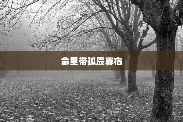 命里带孤辰寡宿