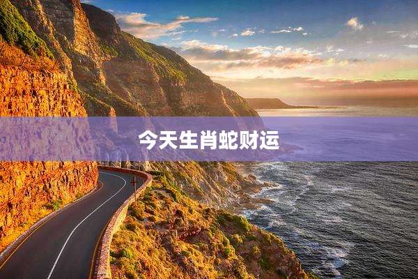 今天生肖蛇财运