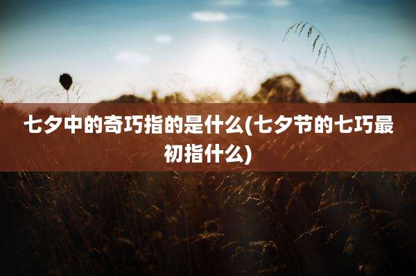 七夕中的奇巧指的是什么(七夕节的七巧最初指什么)