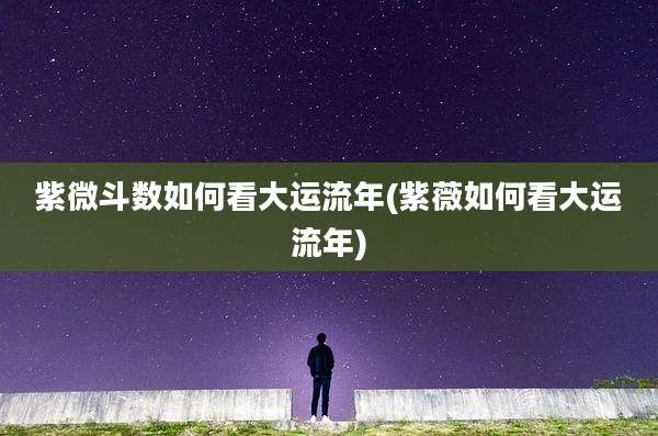 紫微斗数如何看大运流年(紫薇如何看大运流年)
