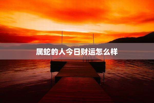 属蛇的人今日财运怎么样