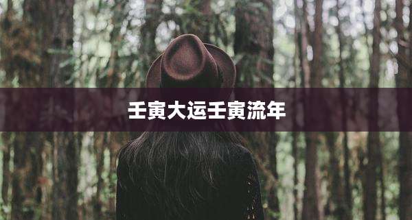 壬寅大运壬寅流年