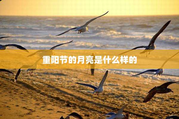 重阳节的月亮是什么样的