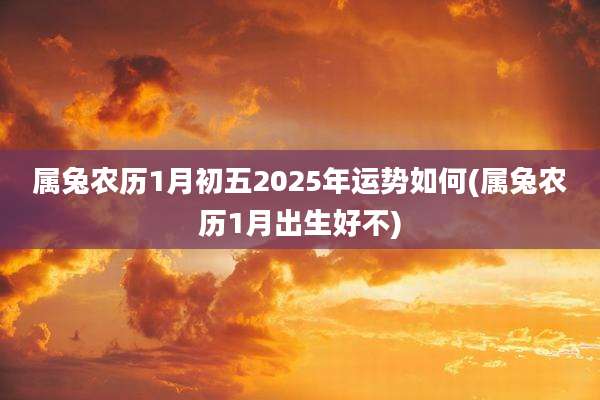 属兔农历1月初五2025年运势如何(属兔农历1月出生好不)
