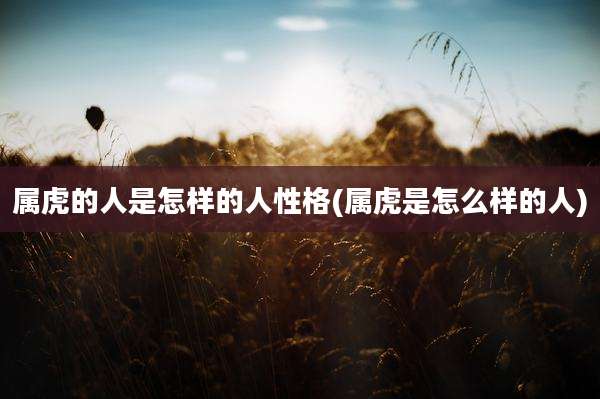 属虎的人是怎样的人性格(属虎是怎么样的人)