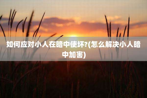 如何应对小人在暗中使坏?(怎么解决小人暗中加害)