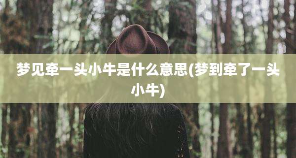 梦见牵一头小牛是什么意思(梦到牵了一头小牛)