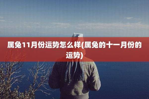 属兔11月份运势怎么样(属兔的十一月份的运势)