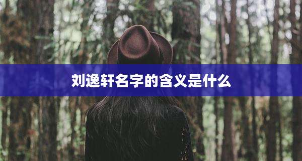 刘逸轩名字的含义是什么