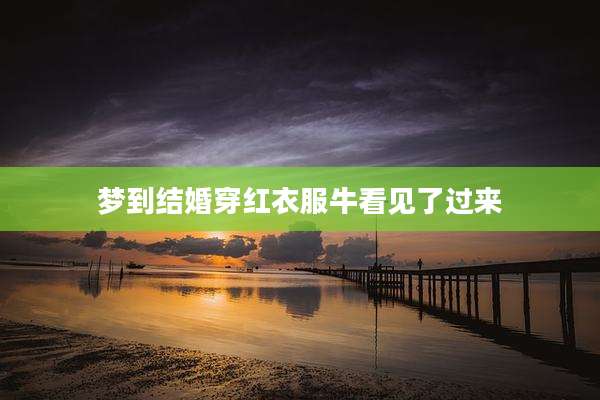 梦到结婚穿红衣服牛看见了过来