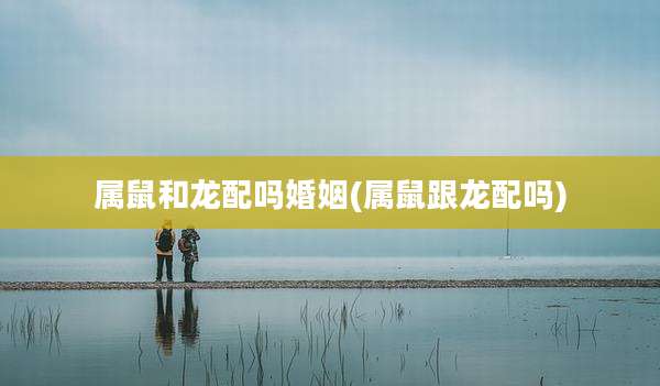 属鼠和龙配吗婚姻(属鼠跟龙配吗)