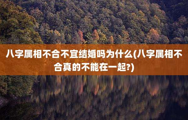 八字属相不合不宜结婚吗为什么(八字属相不合真的不能在一起?)