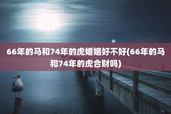66年的马和74年的虎婚姻好不好(66年的马和74年的虎合财吗)