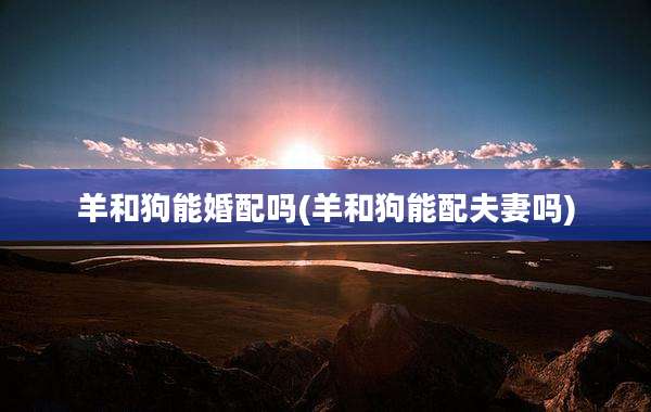 羊和狗能婚配吗(羊和狗能配夫妻吗)