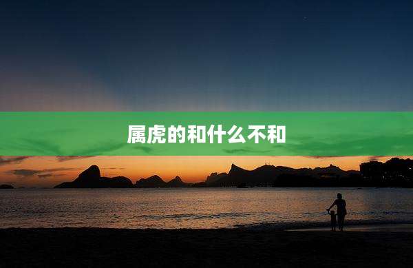 属虎的和什么不和