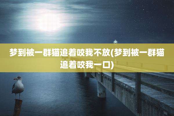梦到被一群猫追着咬我不放(梦到被一群猫追着咬我一口)