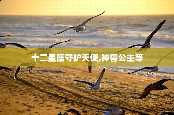 十二星座守护天使,神兽公主等