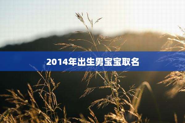 2014年出生男宝宝取名