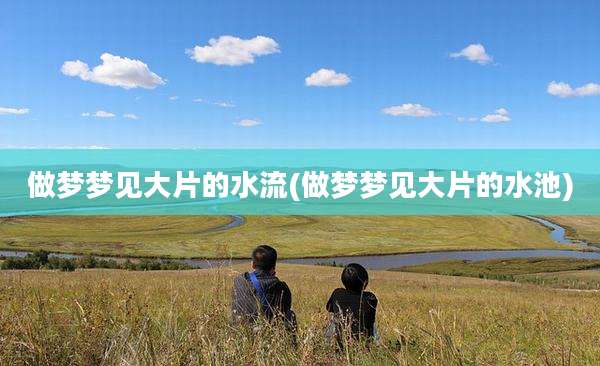 做梦梦见大片的水流(做梦梦见大片的水池)