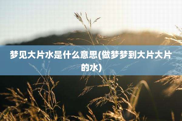 梦见大片水是什么意思(做梦梦到大片大片的水)