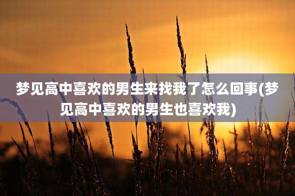 梦见高中喜欢的男生来找我了怎么回事(梦见高中喜欢的男生也喜欢我)
