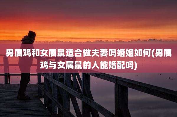 男属鸡和女属鼠适合做夫妻吗婚姻如何(男属鸡与女属鼠的人能婚配吗)