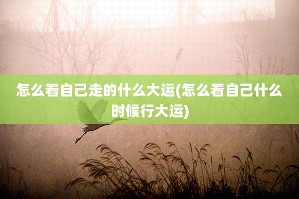 怎么看自己走的什么大运(怎么看自己什么时候行大运)