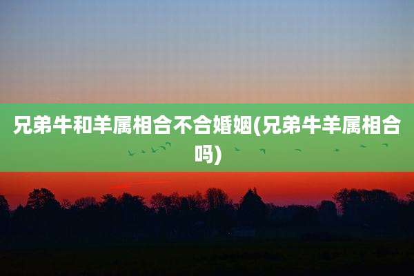兄弟牛和羊属相合不合婚姻(兄弟牛羊属相合吗)