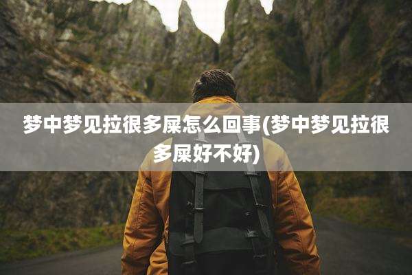 梦中梦见拉很多屎怎么回事(梦中梦见拉很多屎好不好)