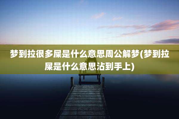 梦到拉很多屎是什么意思周公解梦(梦到拉屎是什么意思沾到手上)