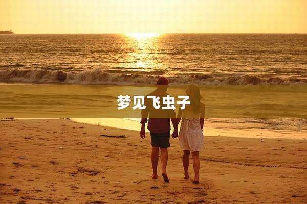 梦见飞虫子