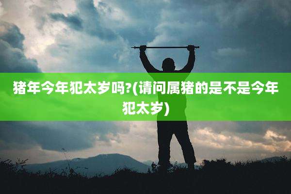 猪年今年犯太岁吗?(请问属猪的是不是今年犯太岁)