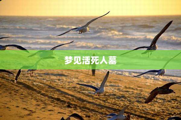 梦见活死人墓