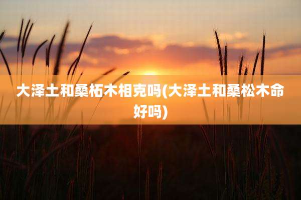 大泽土和桑柘木相克吗(大泽土和桑松木命好吗)