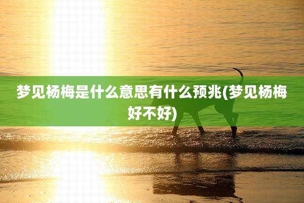 梦见杨梅是什么意思有什么预兆(梦见杨梅好不好)