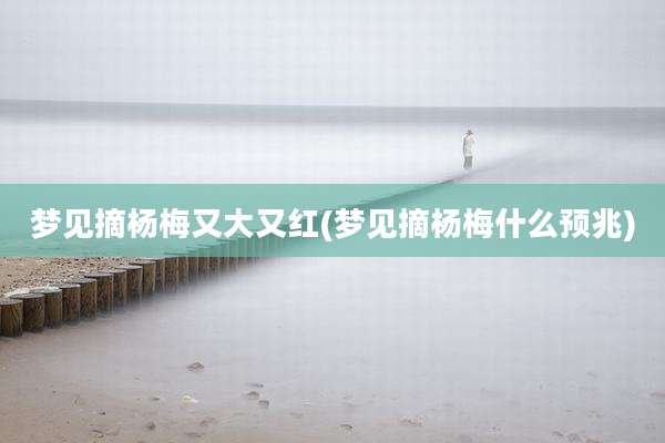 梦见摘杨梅又大又红(梦见摘杨梅什么预兆)