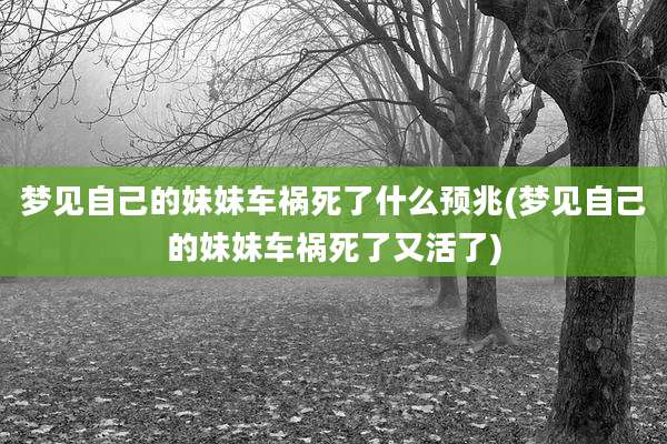 梦见自己的妹妹车祸死了什么预兆(梦见自己的妹妹车祸死了又活了)