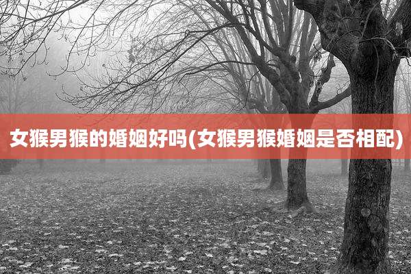 女猴男猴的婚姻好吗(女猴男猴婚姻是否相配)