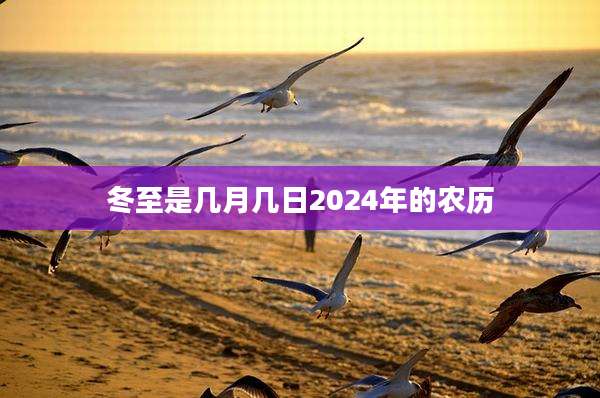 冬至是几月几日2024年的农历