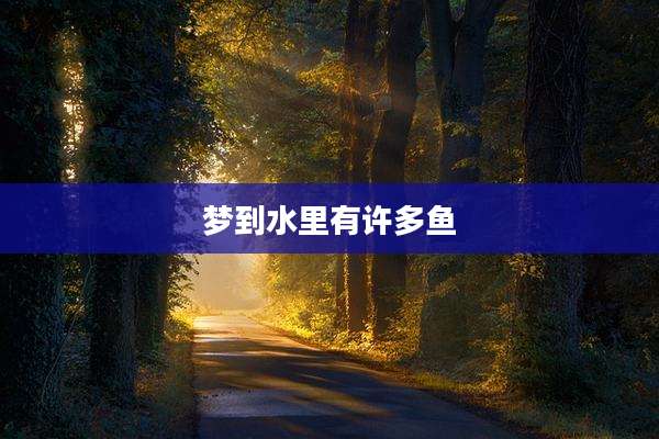 梦到水里有许多鱼