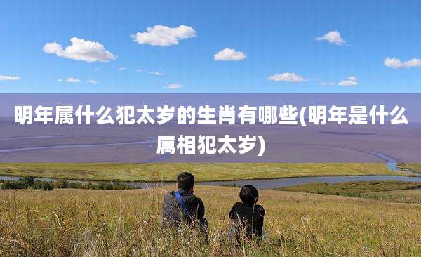 明年属什么犯太岁的生肖有哪些(明年是什么属相犯太岁)