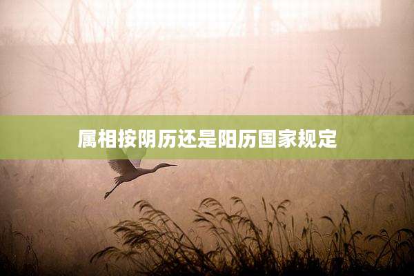 属相按阴历还是阳历国家规定