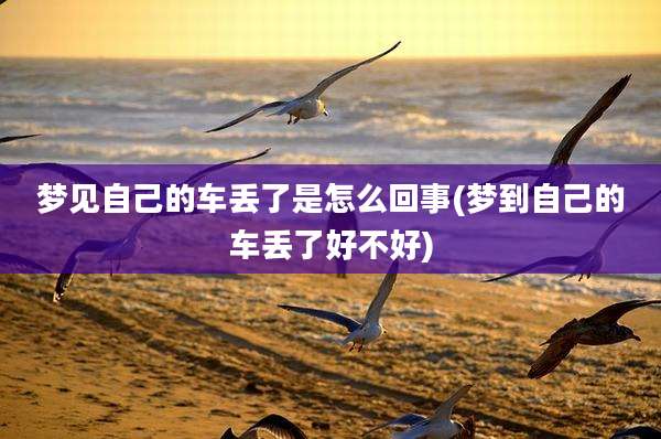 梦见自己的车丢了是怎么回事(梦到自己的车丢了好不好)