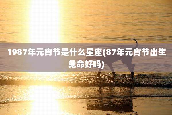 1987年元宵节是什么星座(87年元宵节出生兔命好吗)