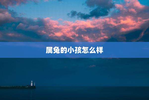 属兔的小孩怎么样