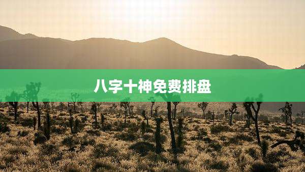 八字十神免费排盘