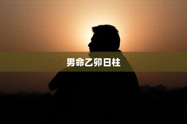 男命乙卯日柱