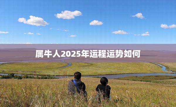 属牛人2025年运程运势如何