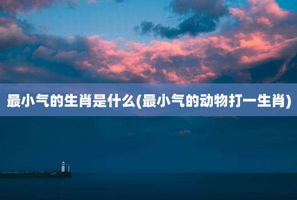 最小气的生肖是什么(最小气的动物打一生肖)