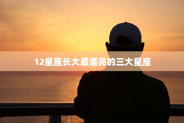 12星座长大最漂亮的三大星座